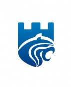 沈阳亮盾保安服务有限责任公司网站即将上线 沈阳亮盾保安服务有限责任公司网站即将上线